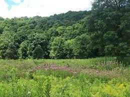Ganargua Creek [NY]