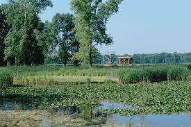 Montezuma Swamp [NY]